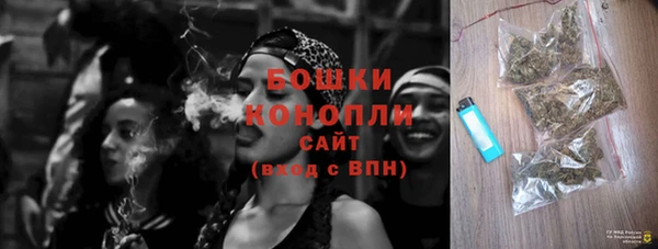 сатива Новодвинск