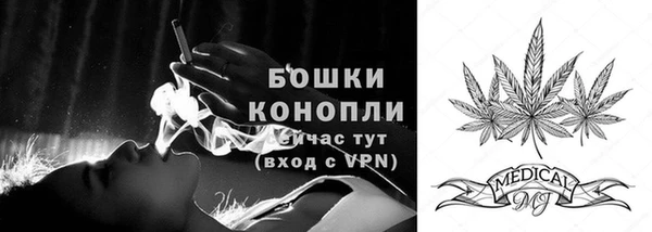 метадон Няндома