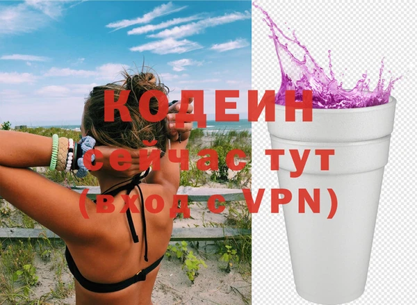 метадон Няндома