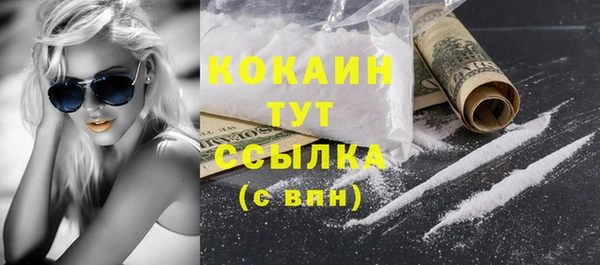 метадон Няндома
