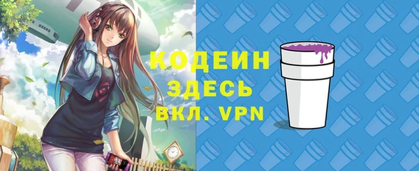 метадон Няндома