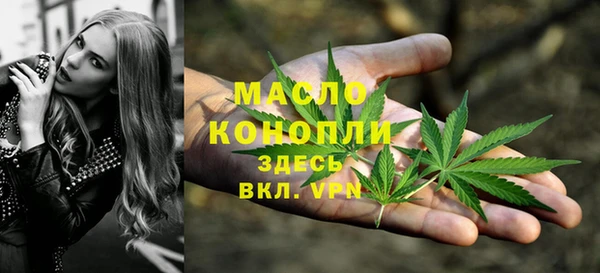 метадон Няндома