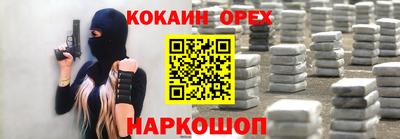 крисы Камышлов
