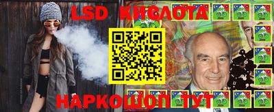 крисы Камышлов