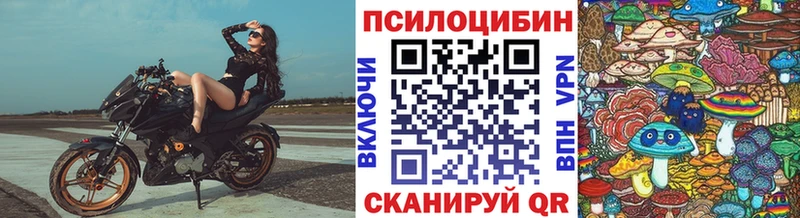 Галлюциногенные грибы Psilocybine cubensis  Красноперекопск 