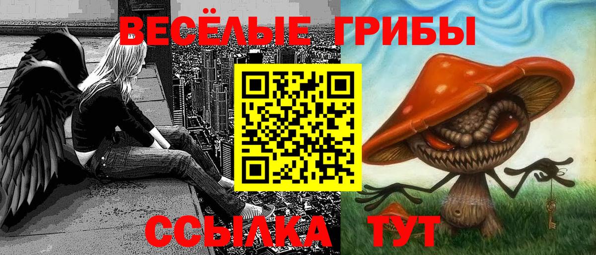 Псилоцибиновые грибы прущие грибы Красноперекопск
