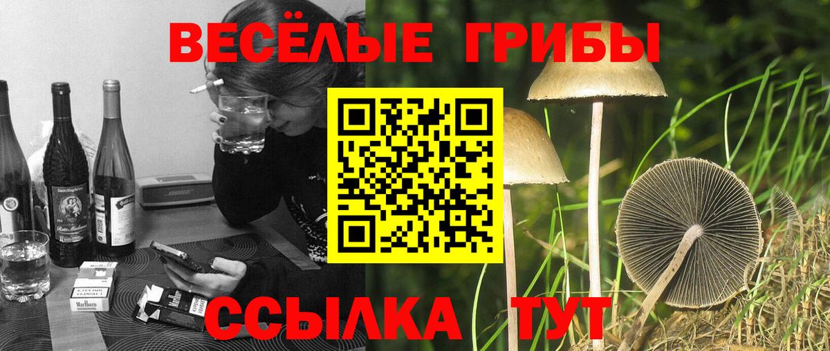 Галлюциногенные грибы мицелий  Галлюциногенные грибы мицелий  Вход с VPN  продажа наркотиков  Красноперекопск 