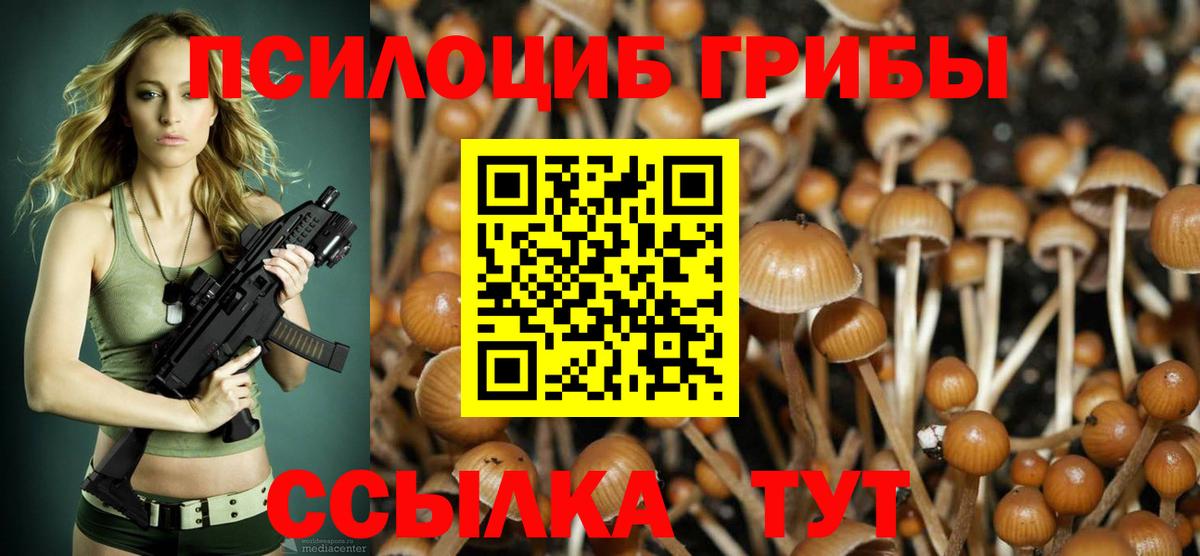 Галлюциногенные грибы ЛСД Красноперекопск